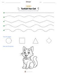 Turkish Van Cat printable worksheet preview