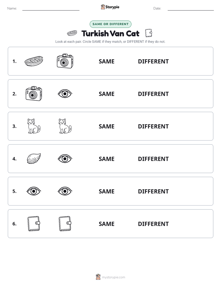 Same or Different