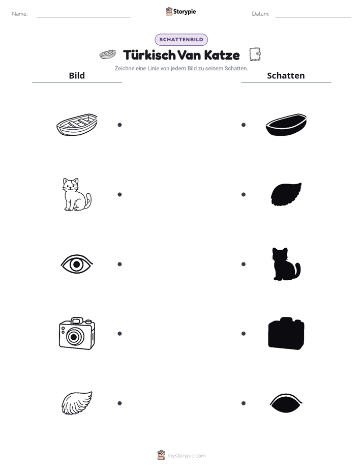 Schattenmatch