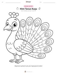 Hint Tavus Kuşu yazdırılabilir çalışma sayfası önizlemesi