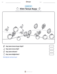 Hint Tavus Kuşu yazdırılabilir çalışma sayfası önizlemesi