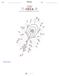 印度孔雀 可打印工作表预览