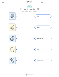 معاينة ورقة العمل القابلة للطباعة الطاووس الهندي