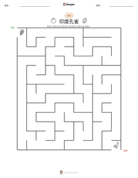 印度孔雀 可打印工作表预览