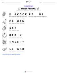 Indian Peafowl printable worksheet preview