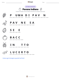 Anteprima della scheda stampabile di Pavone indiano