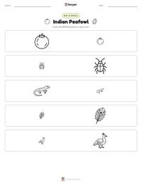 Indian Peafowl printable worksheet preview