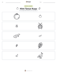 Hint Tavus Kuşu yazdırılabilir çalışma sayfası önizlemesi