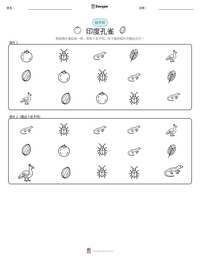 印度孔雀 可打印工作表预览