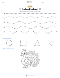 Indian Peafowl printable worksheet preview