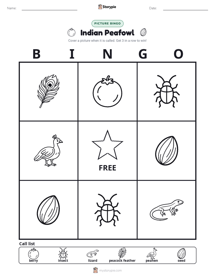 Picture Bingo