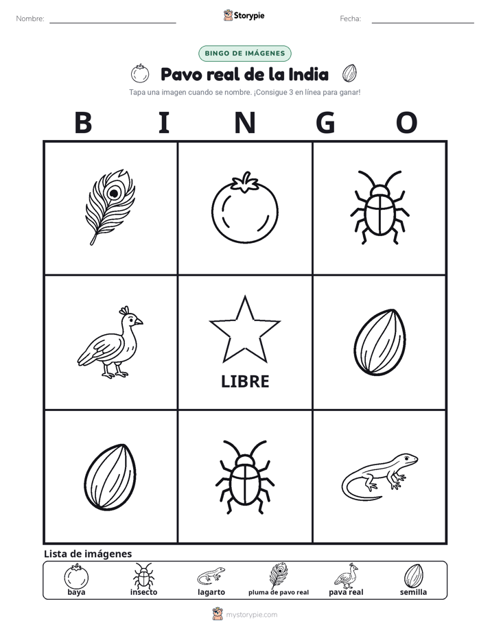 Bingo de Imágenes