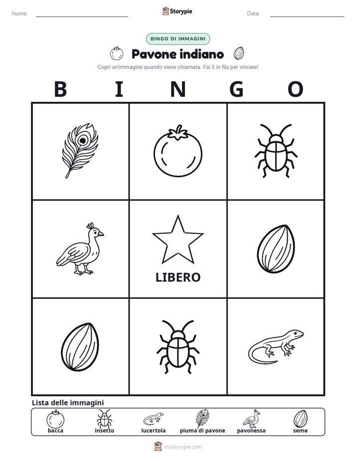 Bingo delle Immagini