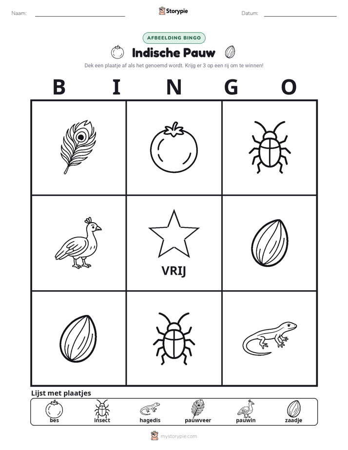 Afbeelding Bingo