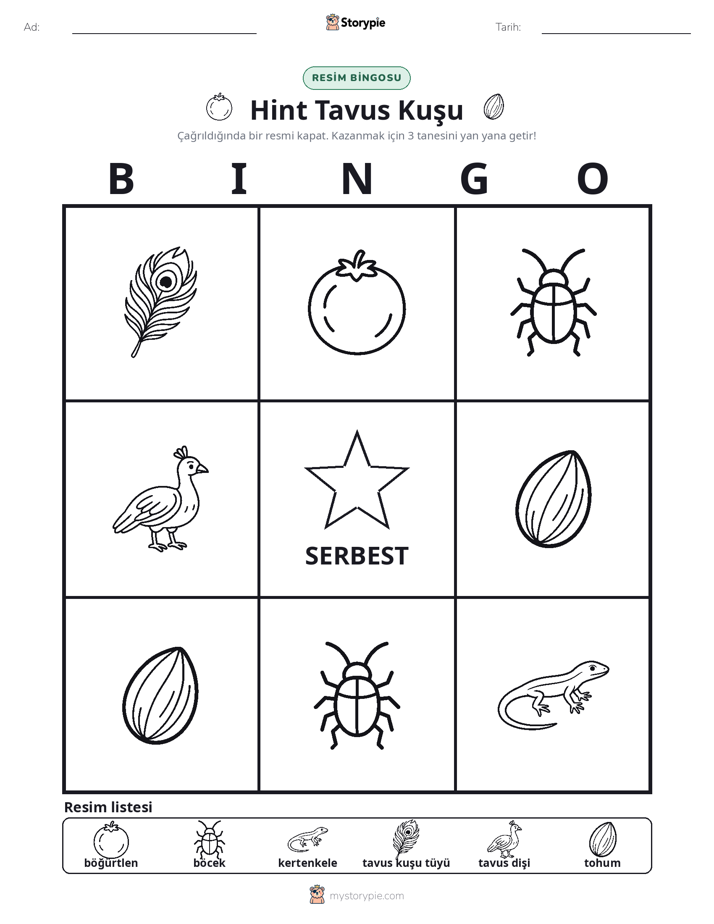 Resim Bingo