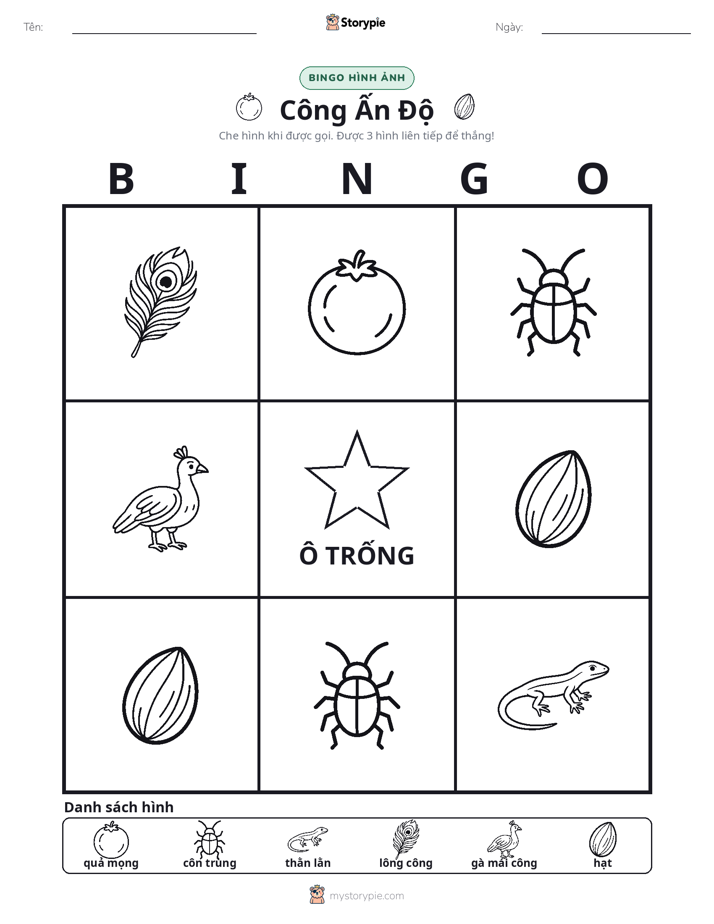Bingo Hình Ảnh