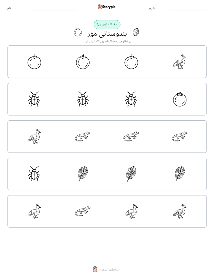عجیب ایک