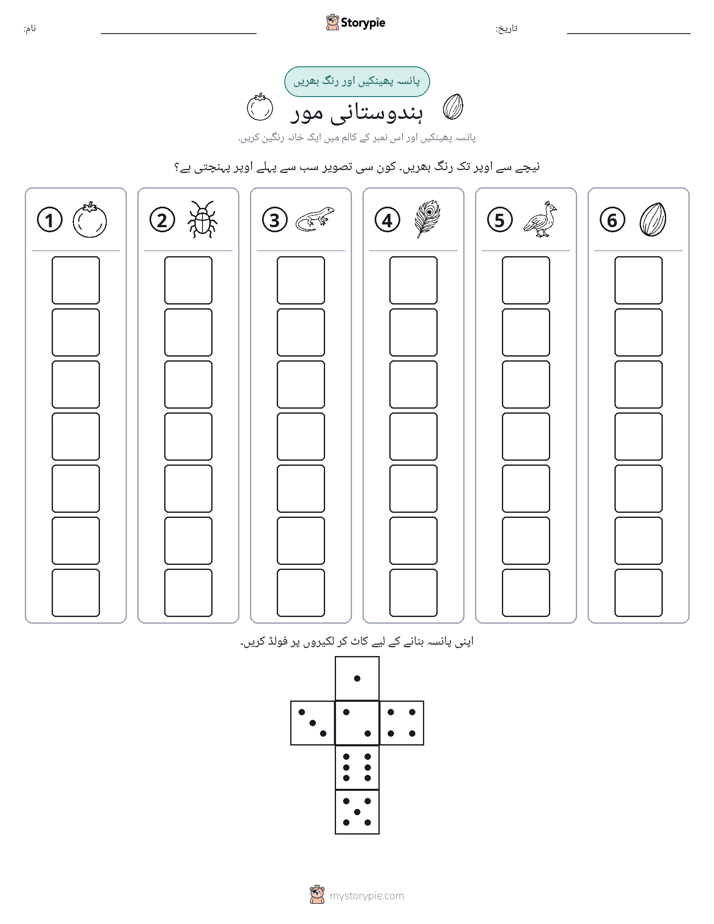 رول اور رنگ