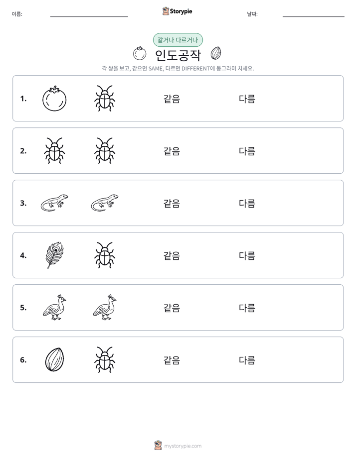 같은 것 또는 다른 것