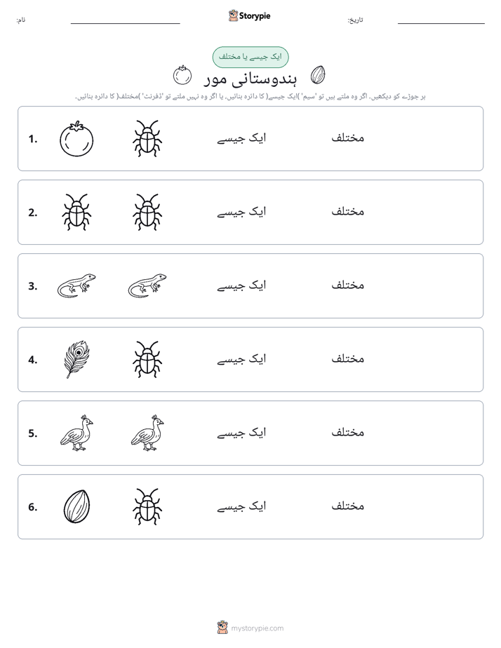 ایک جیسا یا مختلف
