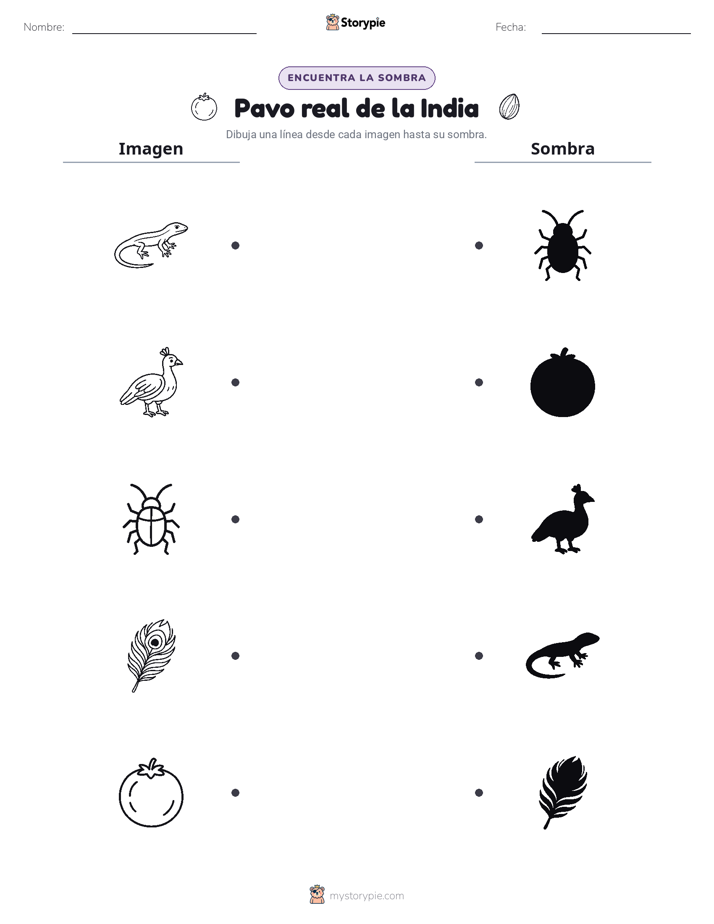 Coincidencia de Sombras