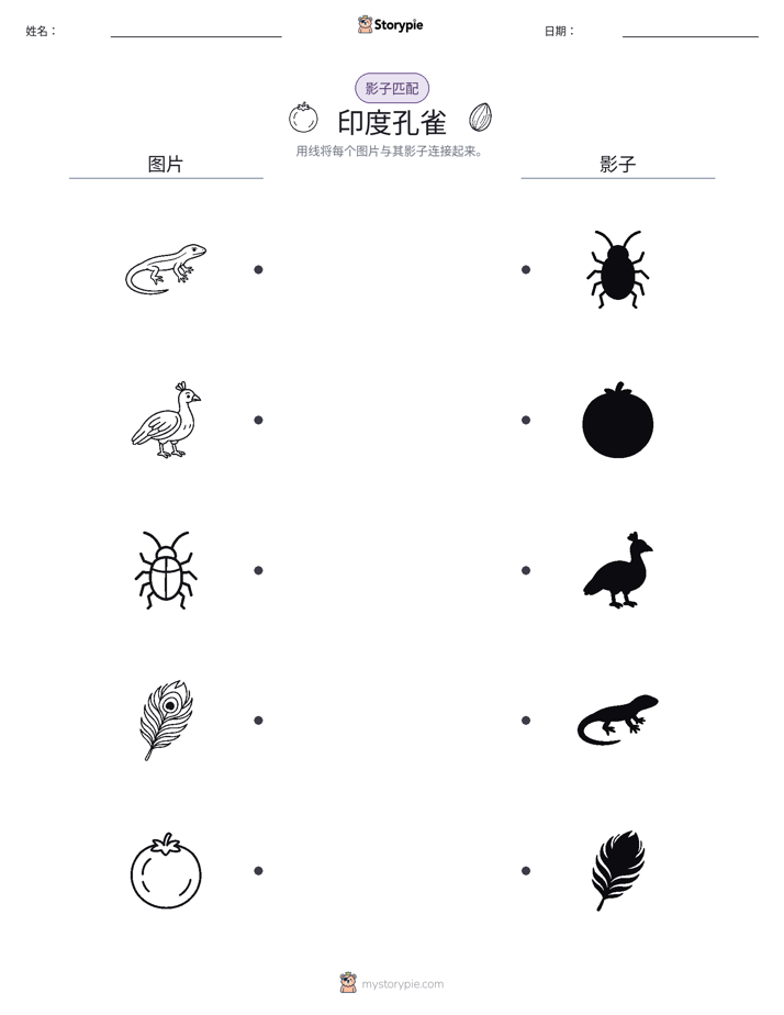 影子匹配