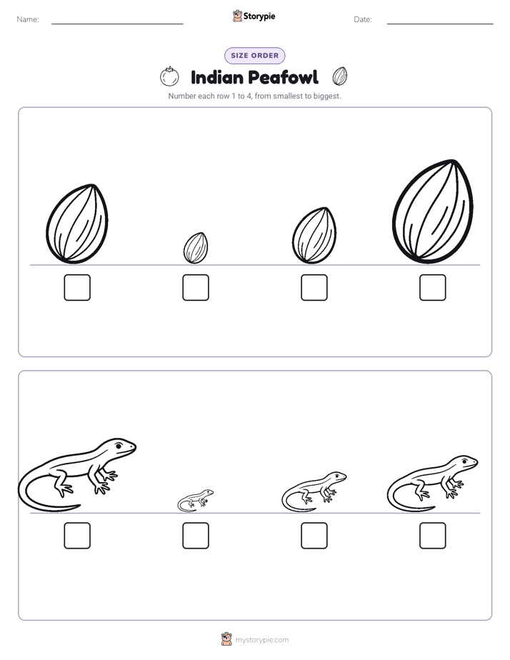 Size Order