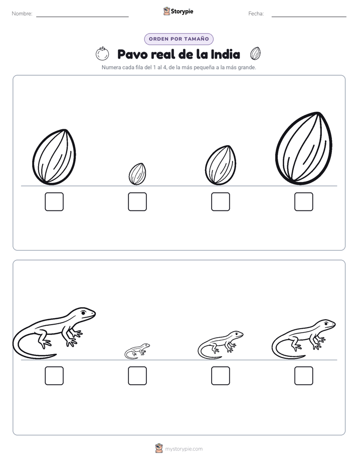 Orden de Tamaños
