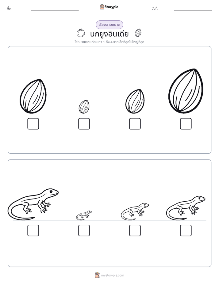 ลำดับขนาด