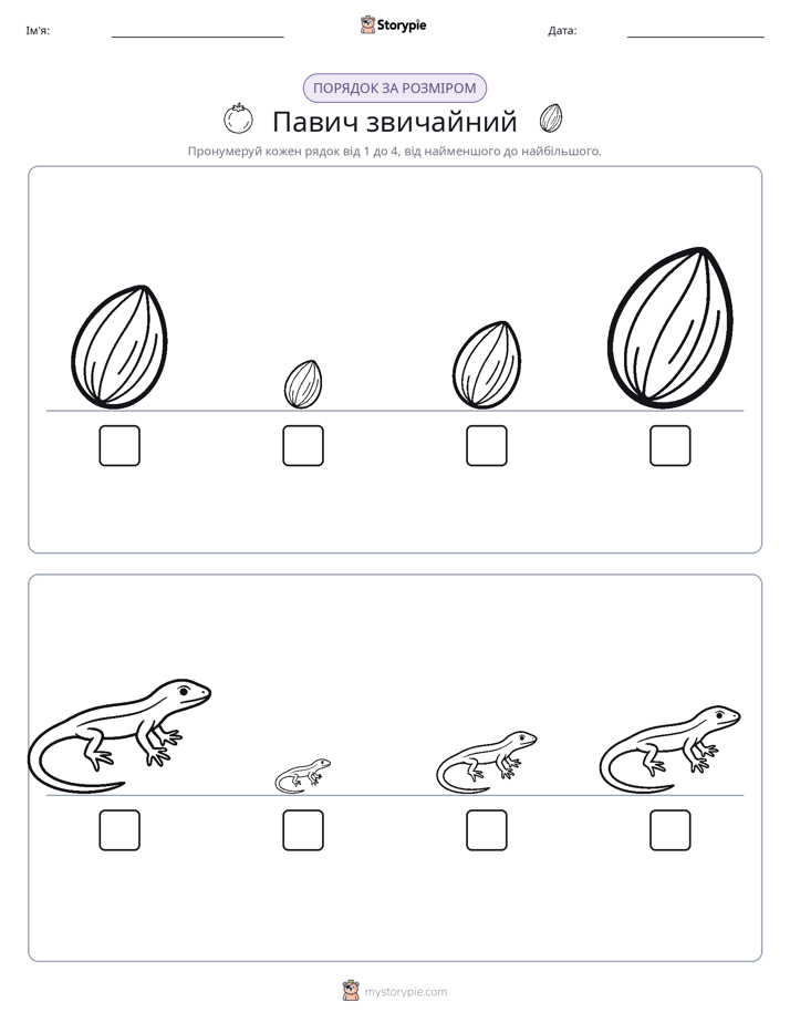 Порядок Розміру
