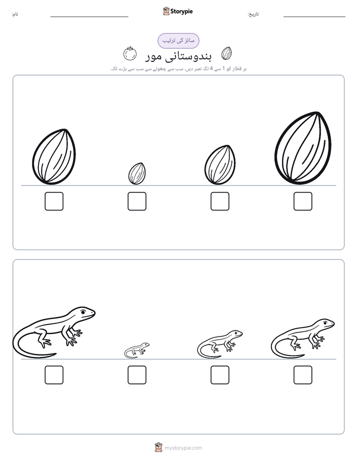 سائز کی ترتیب
