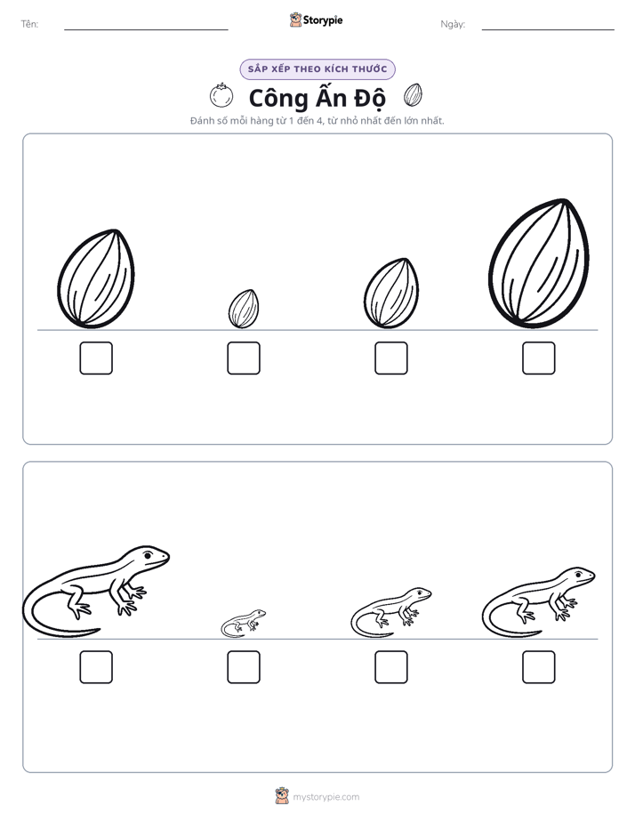 Thứ Tự Kích Thước
