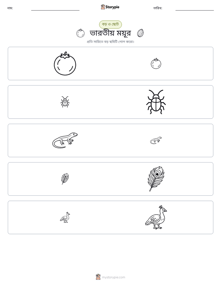 সাজানো