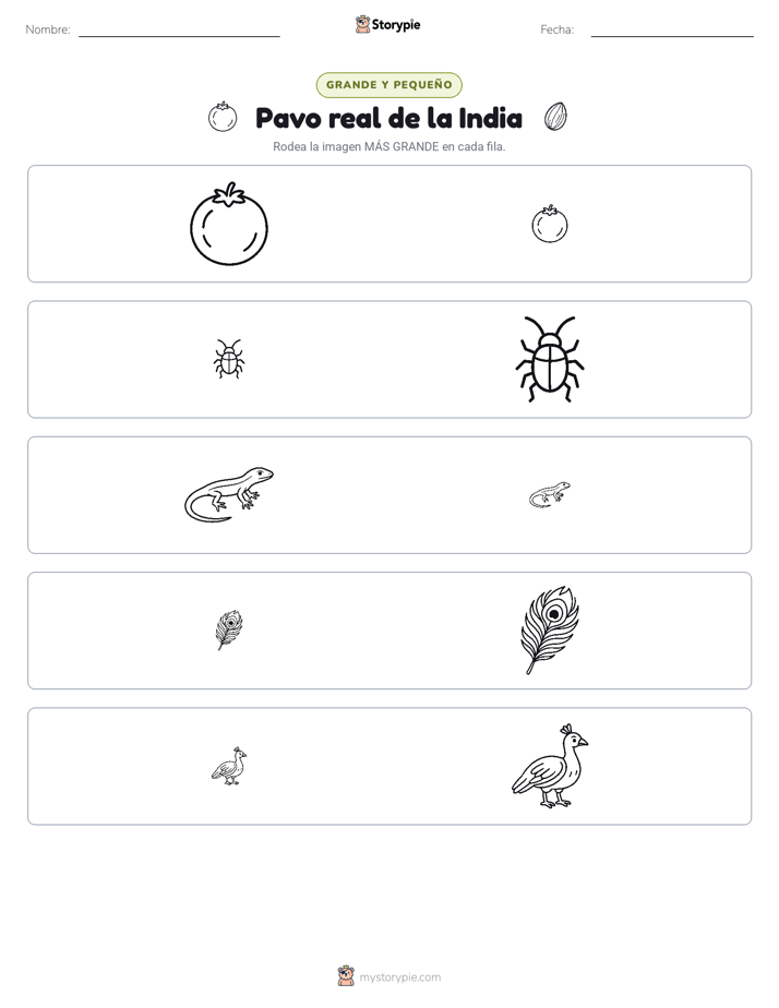 Clasificación