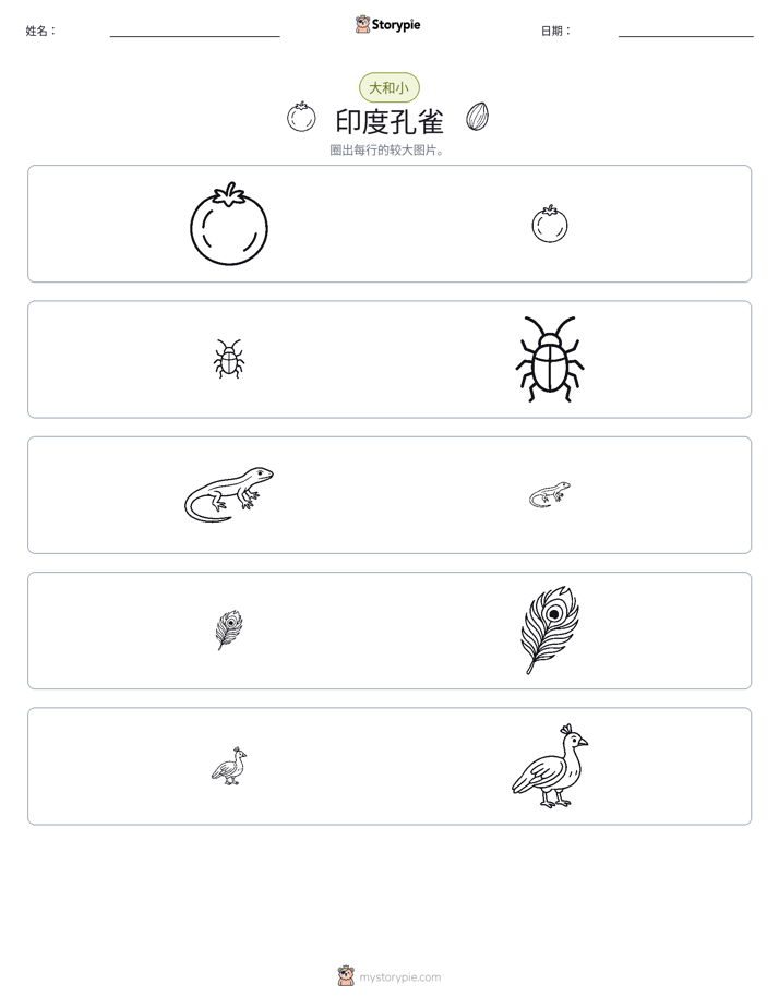 分类