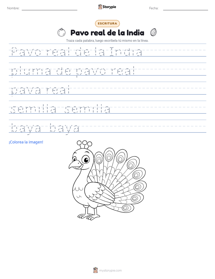 Práctica de Escritura