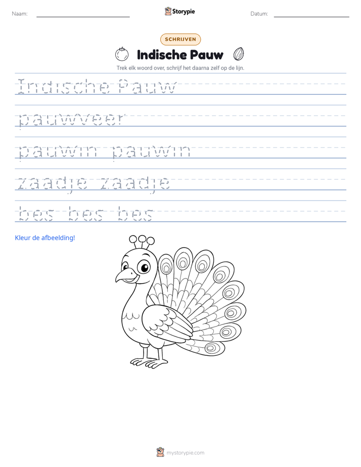 Schrijf Oefening