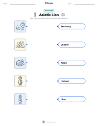 Asiatic Lion printable worksheet preview