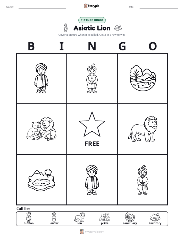 Picture Bingo
