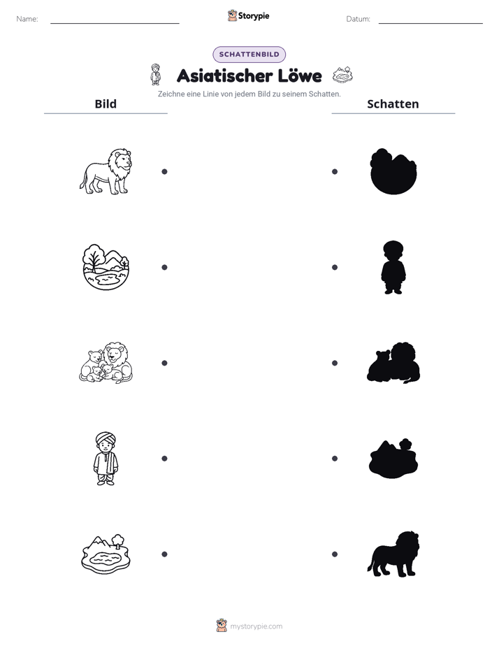 Schattenmatch