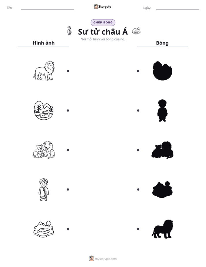 Ghép Hình Bóng