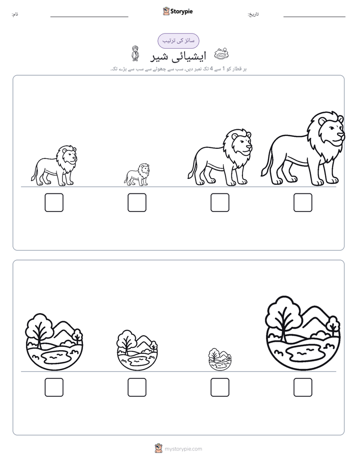 سائز کی ترتیب