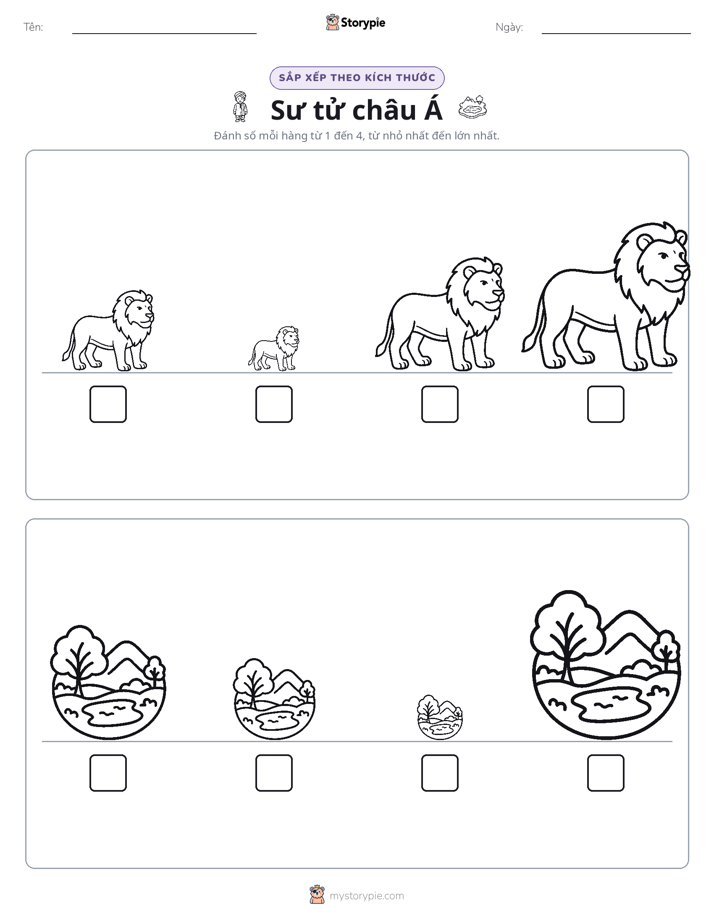 Thứ Tự Kích Thước