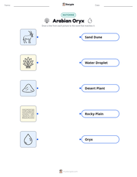 Arabian Oryx printable worksheet preview