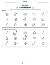Arabian Oryx printable worksheet preview