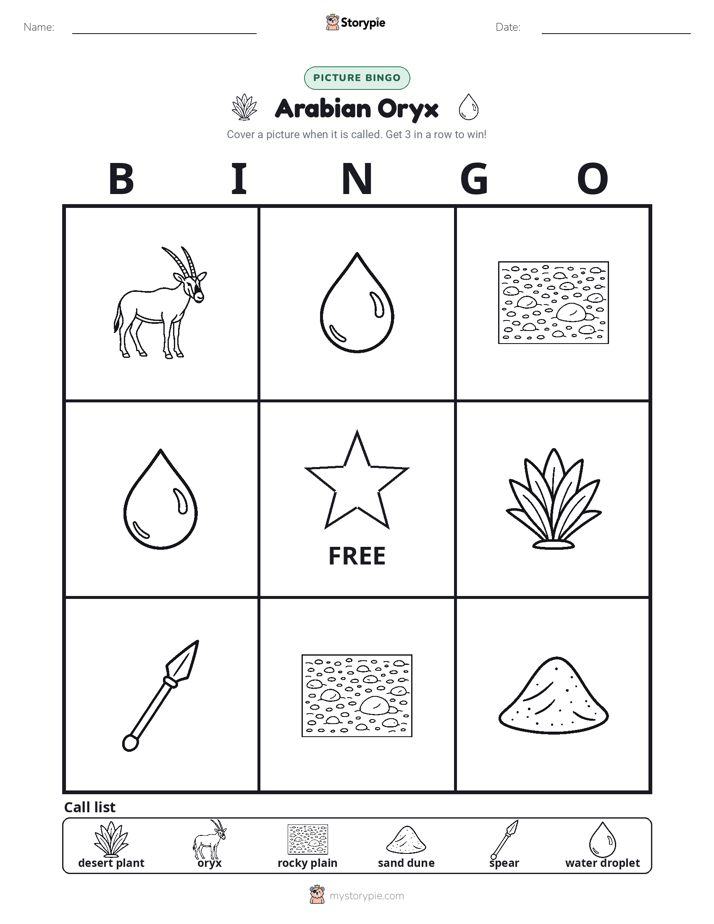 Picture Bingo