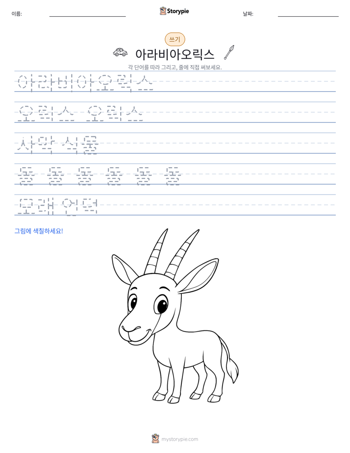 쓰기 연습