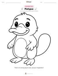 Platypus printable worksheet preview