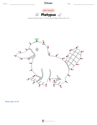 Platypus printable worksheet preview
