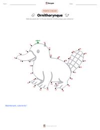 Aperçu de la feuille de travail imprimable Ornithorynque